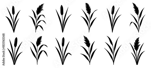 Silhouette cattail and reed plants arranged in clean natural botanical forms with tall leaves and heads
