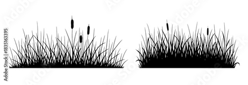 Silhouette tall wild grass with scattered cattails forming dense natural shapes and vertical movement