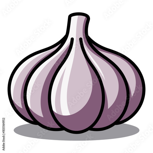 Illustration of a Fresh Garlic Bulb with Detailed Shading.