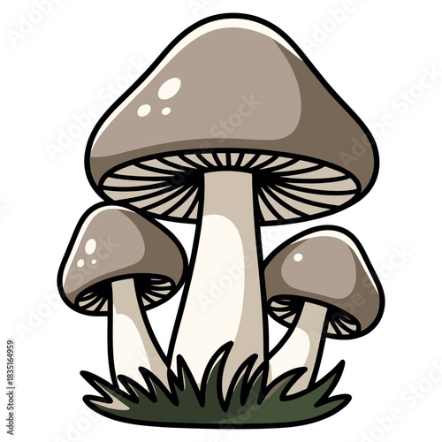 Illustration of Three Mushrooms with Gray Caps and White Stems.