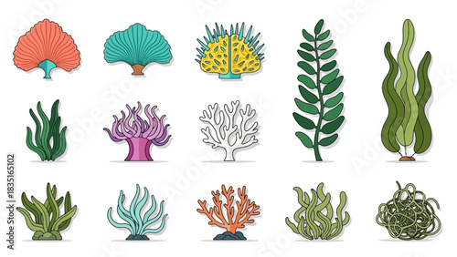 Diverse collection of colorful cartoon underwater plants and coral reef elements for aquarium