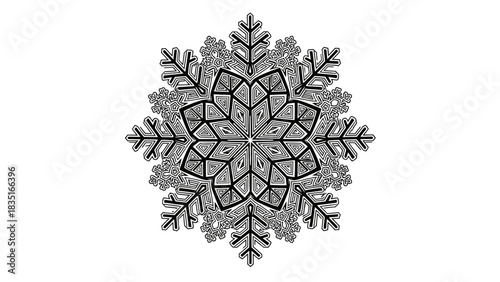 Detailed snowflake illustration with intricate geometric patterns on white ground