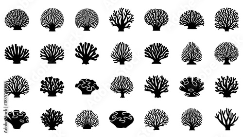 Collection of vector coral reefs in different shapes, representing biodiversity of marine ecosystems