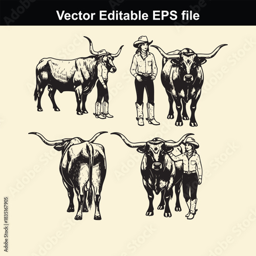 vector illustration set featuring a cowboy standing beside texas longhorn cattle in various poses, rendered in a detailed black and white sketch style suitable for western themes