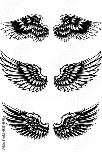 Elegant Wings Array: An artistic display showcasing three pairs of meticulously detailed wings, with feathers arranged in an elegant pattern, evoke the feeling of freedom, grace, and ethereal beauty.