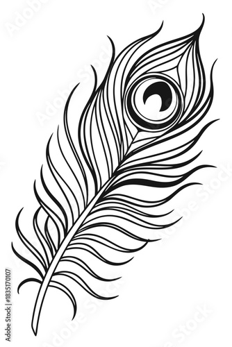 a single peacock feather. It features the distinctive eye-shaped pattern near the top, with long, elegant fronds extending outward and a slender quill at the bottom. The style is minimalist.
