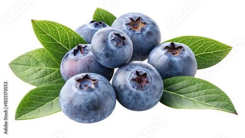 Fresh blueberries png: transparent blue fruit berry with green leaves, healthy food art isolated on transparent background