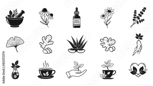 Botanical illustration set depicting herbs and plants commonly used in alternative medicine