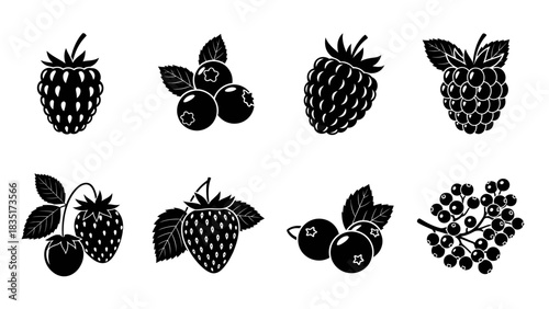 Black and white vector illustration of various berries and fruits in simple style