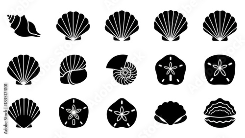 Monochrome Shells: A Collection of Silhouette Illustrations for Coastal Design and Decoration