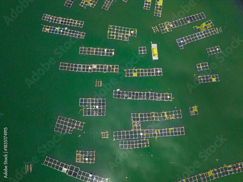 Fish farm with cages on Maninjau lake. Farming aquaculture or pisciculture practices. Sumatra Indonesia.