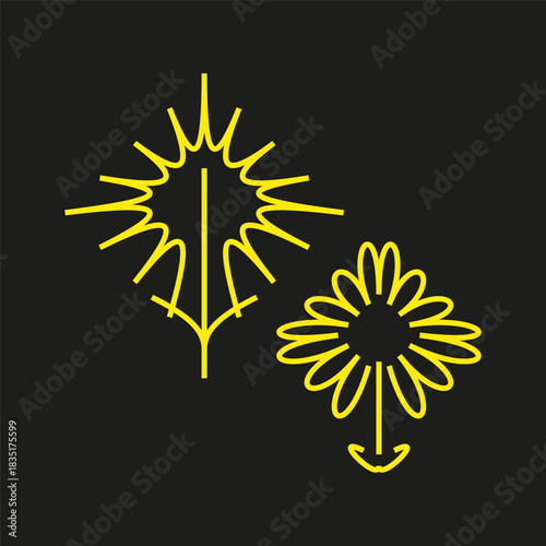Abstract floral outlines. Yellow simple bloom. Decorative element Vector. Dark background shape.