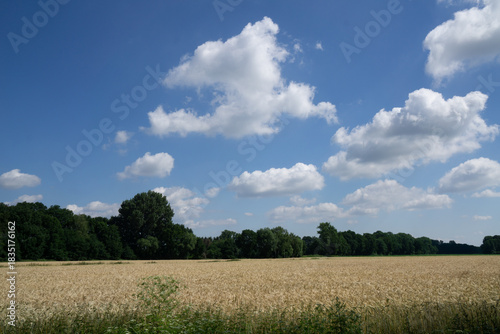 Region Teutoburger Wald