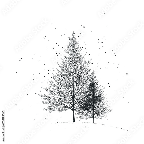 Two wintry trees standing in the snow.