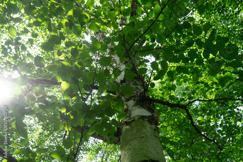 Region Teutoburger Wald