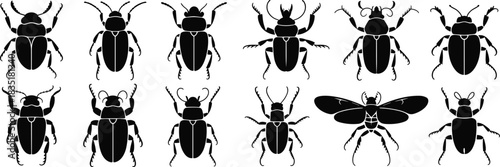 Insect silhouette vector collection, beetle icons for science, entomology, print, pattern, design, biology, education