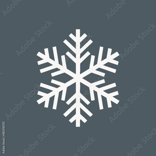 New Year's snowflake logo. 
Snowflake set on isolated background. Isolated snowflake vector icon logo snow Xmas cartoon character symbol collection. Frost background. Christmas icon. Happy New Year 20