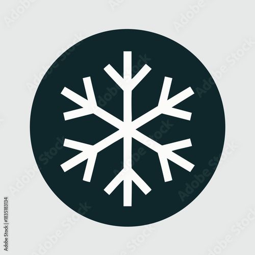 New Year's snowflake logo. 
Snowflake set on isolated background. Isolated snowflake vector icon logo snow Xmas cartoon character symbol collection. Frost background. Christmas icon. Happy New Year 20