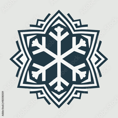 New Year's snowflake logo. 
Snowflake set on isolated background. Isolated snowflake vector icon logo snow Xmas cartoon character symbol collection. Frost background. Christmas icon. Happy New Year 20