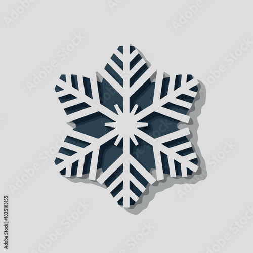 New Year's snowflake logo. 
Snowflake set on isolated background. Isolated snowflake vector icon logo snow Xmas cartoon character symbol collection. Frost background. Christmas icon. Happy New Year 20