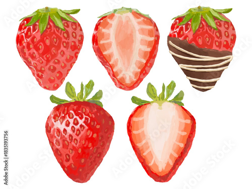いちごのベクターイラストセット(料理素材・半分カット・チョコがけ)