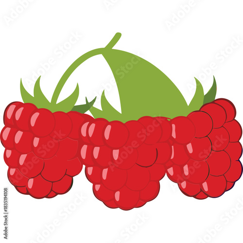 Three Vibrant Red Raspberries With Green Stems and Leaves on a Black Background