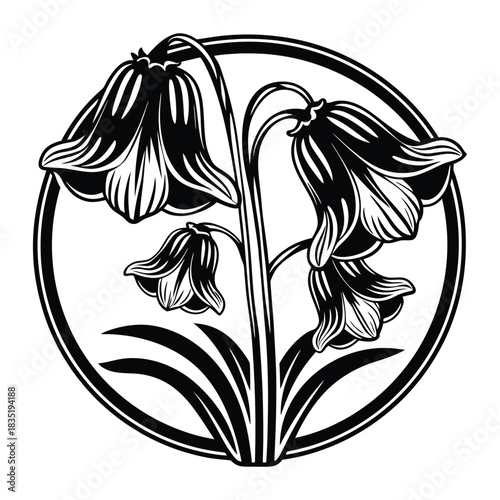 Detailed vector of bluebell flowers with realistic shading highlights and fine line work