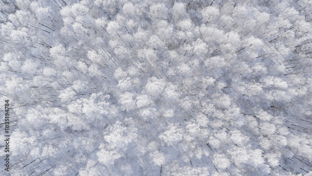 Obraz premium Snowy Scenery of the Greater Khingan Mountains