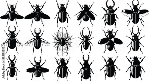 Set of black beetle silhouettes featuring stag bugs and spider with web, vector illustration isolated on white background, nature wildlife design collection.
