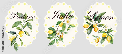 Watercolor Italian lemon set with Mediterranean frames and branches. Limoncello-inspired design featuring Positano stamps, yellow citrus patterns, and Amalfi Coast summer vibes.