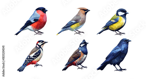 Geometric birds collection: colorful low poly avian designs