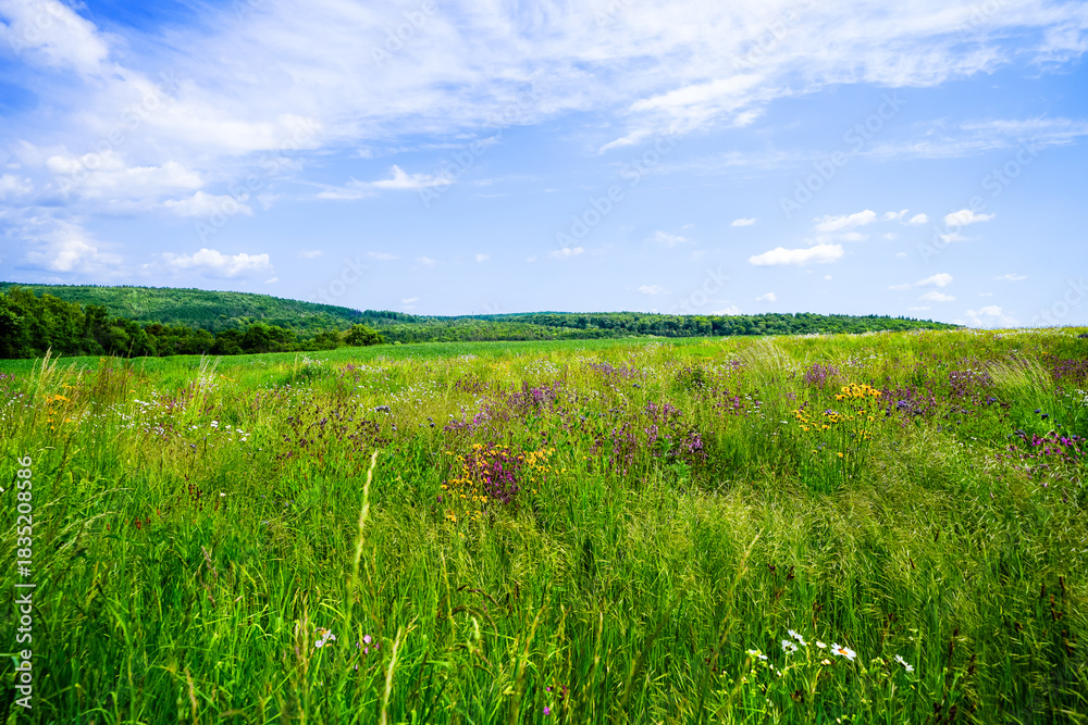 Fototapeta premium View of the landscape near Gensungen, close to Felsberg. 