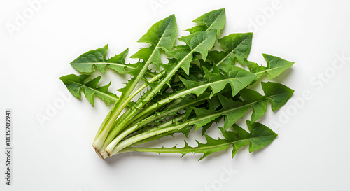 Fresh dandelion leaves on white background green herb plant food salad raw healthy vegetarian vegan