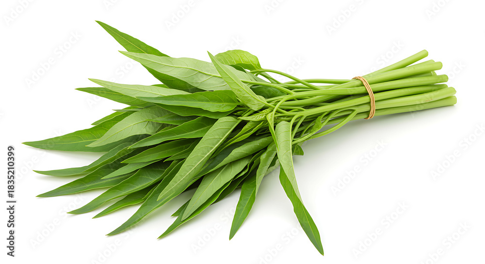 Fototapeta premium Fresh water spinach Ipomoea aquatica on white background morning glory vegetable green bundle tied asian