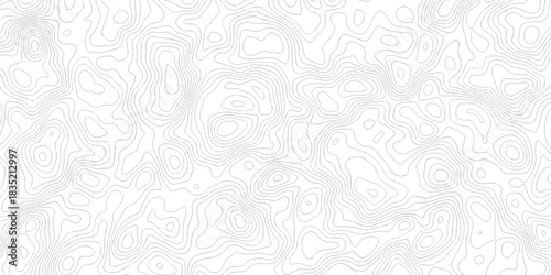 Abstract pattern with lines seamless pattern and topography map and counter map. abstract sea map area space geometric line technology topo landscape grid map texture.	
