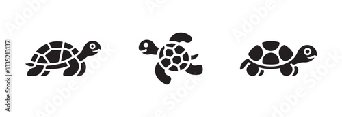 Set of black turtle icons depicting various poses of tortoise including swimming and crawling on solid ground