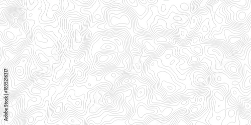 Abstract pattern with lines seamless pattern and topography map and counter map. abstract sea map area space geometric line technology topo landscape grid map texture.	