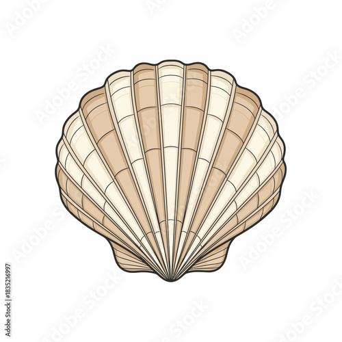 A detailed stylized illustration of a ridged tan and creamcolored scallop shell