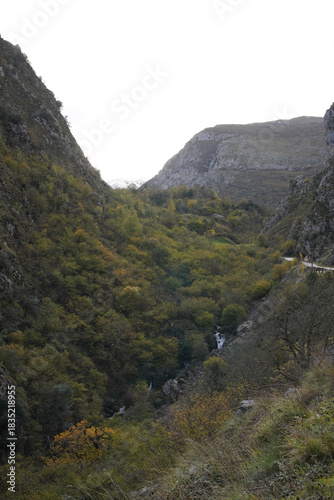 Limestone Peaks Overlook Serene Valley, Cantabria - Natural canyon featuring flowing water, lush vegetation and partially clouded sky.