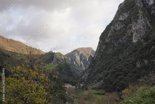 Pine Forest Nestles Below Limestone Peaks - Fog-shrouded mountain landscape features green valley, trees, and red-yellow vegetation. Blue sky with partially visible sun.