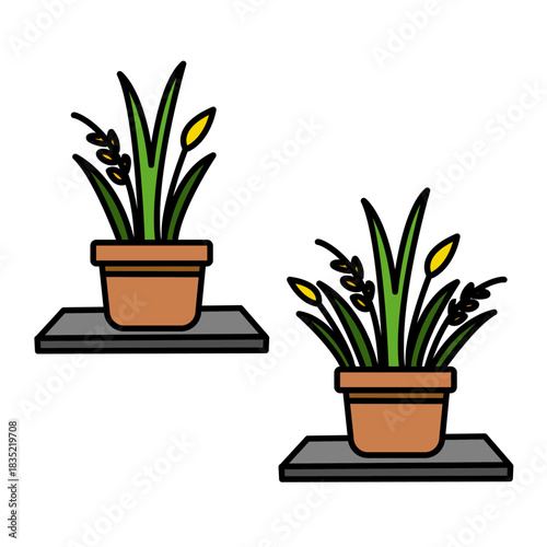 Tall Grass Sprouts with Yellow Blossoms