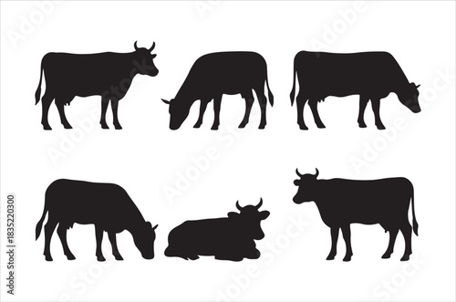 Silhouette collection of grazing cows and resting cattle in a field