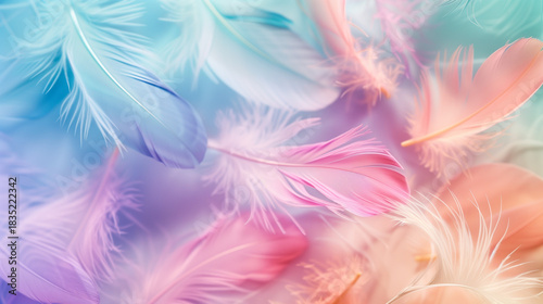 Close-up wallpaper featuring a delicate feather pattern in soft shades of white, pink, purple, green, and blue, creating a gentle and elegant visual harmony.