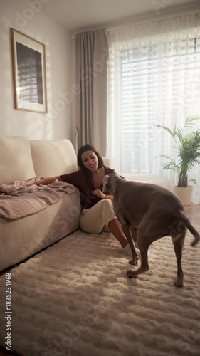 pet interaction in cozy space, relaxed morning scene featuring woman and her dog in sunlit living room
