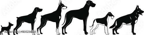 Black Vector Silhouette Set of Six Different Dog Breeds in Profile, Showing Various Sizes and Types, Ideal for Pet Care and Veterinary Design Concepts.