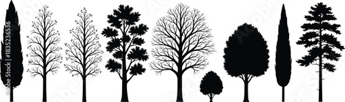 Set of Nine Black Tree Silhouettes Vector Illustration, Including Deciduous, Evergreen, and Bare Trees, Perfect for Nature Landscape or Architectural Design Elements.