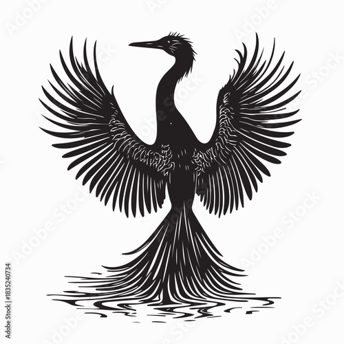 Anhinga Bird Drying Feather Vector Silhouette on white background