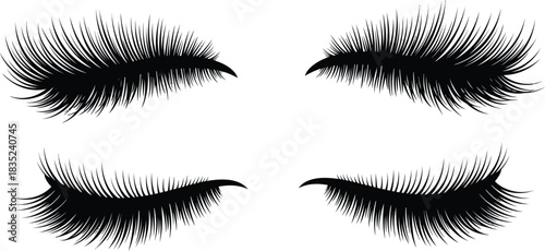 A pair of beautifully styled long and dramatic false eyelashes isolated on white