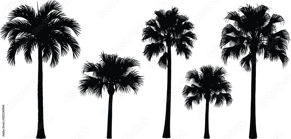 Fototapeta premium Silhouette of multiple palm trees against a plain white background