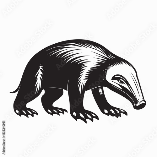 Anteater Walking Side View Image Vector Isolated on white background